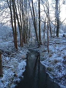 Rohne near Osterhausen.jpg