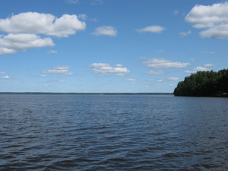 File:Sääksjärvi lake.JPG