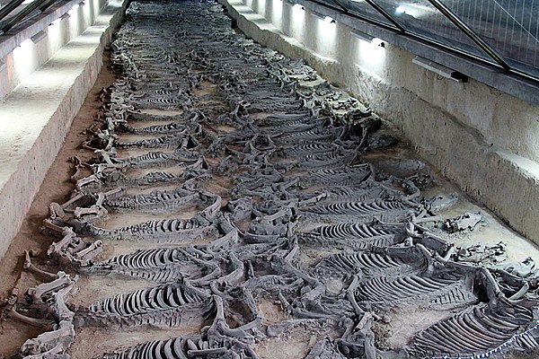 Mass horse burial for Duke Jing of Qi (reigned 547–490 BCE) of Spring and Autumn period China