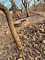 Salaga_Slave_Well_in_Northern_Ghana_01