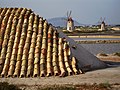 Las tejas protegen la sal recogida.