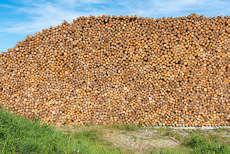 File:Sankt Georgen am Längsee Launsdorf Industriestraße Pietsch Holzhof Blochstapel 12092018 4642.jpg