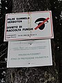 Schild "Pilze sammeln verboten" - Forst- und Domänenstation Latemar, Provinz Bozen.jpg