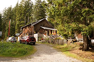 Bregenz Hut (2019)