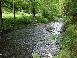 Řeka v hlubokém údolí severně od Harzgerode