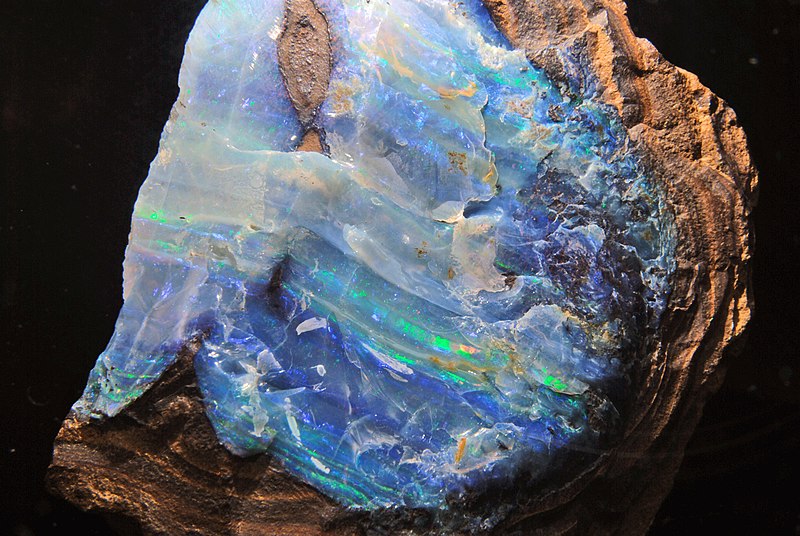 File:Senckenberg Opal02.jpg