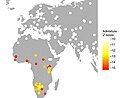 Shared drift and mixture analysis of modern Egyptian with modern populations.jpg