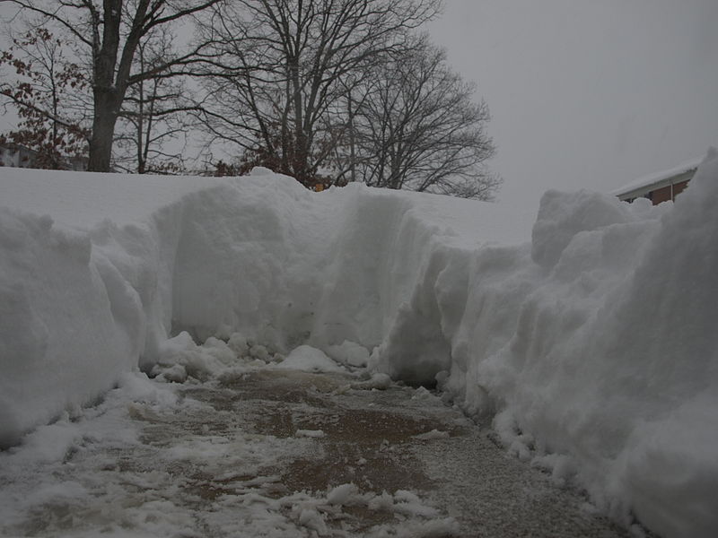 File:Shoveled a path (4334072303).jpg