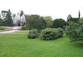Парк, помнік Сібеліусу на заднім плане
