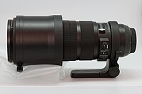 Sigma 120-300mm F2.8 EX DG OS APO HSM 03.jpg