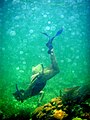 Snorkeling, Belize Barrier Reef.jpg