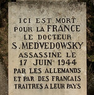 Milice Française: L’origine de la Milice, La Milice française, police supplétive de la Gestapo, La Franc-garde, unité paramilitaire de lutte contre la Résistance