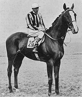 <span class="mw-page-title-main">St Louis (horse)</span> Irish-bred Thoroughbred racehorse