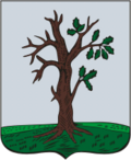 Starodub COA (Chernigov Governorate) (1782).png