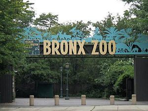 Asia Gate Entrance at Bronx Zoo.