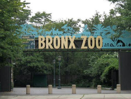 Sở_thú_Bronx