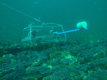 Stereo BRUV prototype deployed at the Tsitsikamma National Park Marine protected area