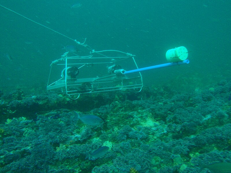 File:Stereo BRUVS in action at Rheeders Reef P2277038.JPG