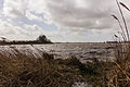 Stormachtige wind boven Langweerder Wielen (Langwarder Wielen).