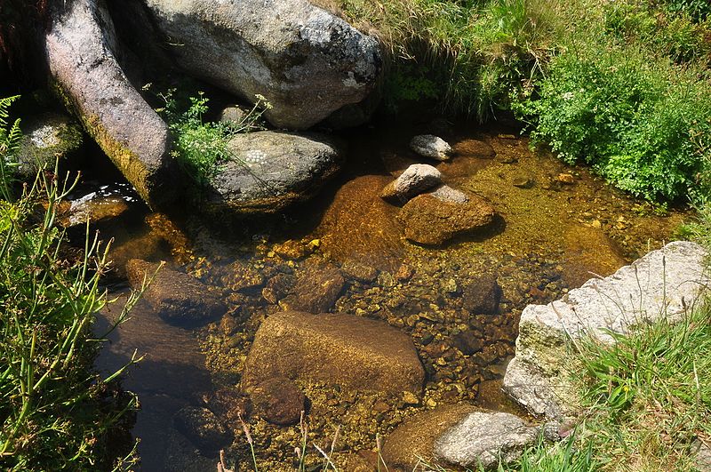 File:Stream above Wicca Pool (6740).jpg