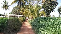 Sub way Road to Yennanguru village