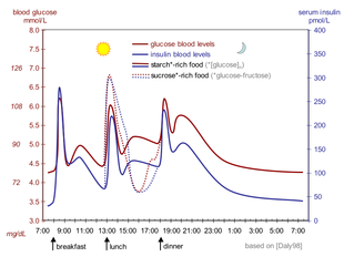 The fluctuation of blood sugar (red) and the sugar-lowering hormone insulin (blue) in humans during the course of a day with three meals. One of the effects of a sugar-rich vs a starch-rich meal is highlighted. Suckale08 fig3 glucose insulin day.png