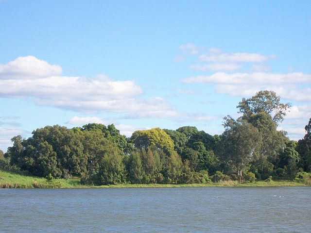 The Clarence River, as it flows past Susan Island Nature Reserve, near Grafton.