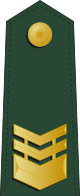 Taiwan-army-OR-5.svg