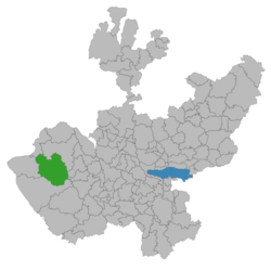 Talpa de Allende - Carte