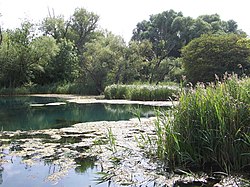 Tetney Blow Wells Tetney Blow Well - geograph.org.uk - 1015804.jpg