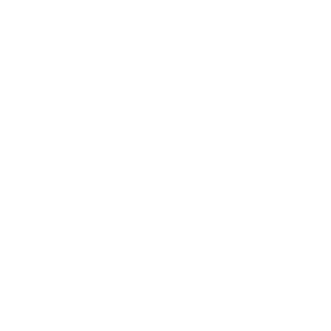 Text lines white icon.svg