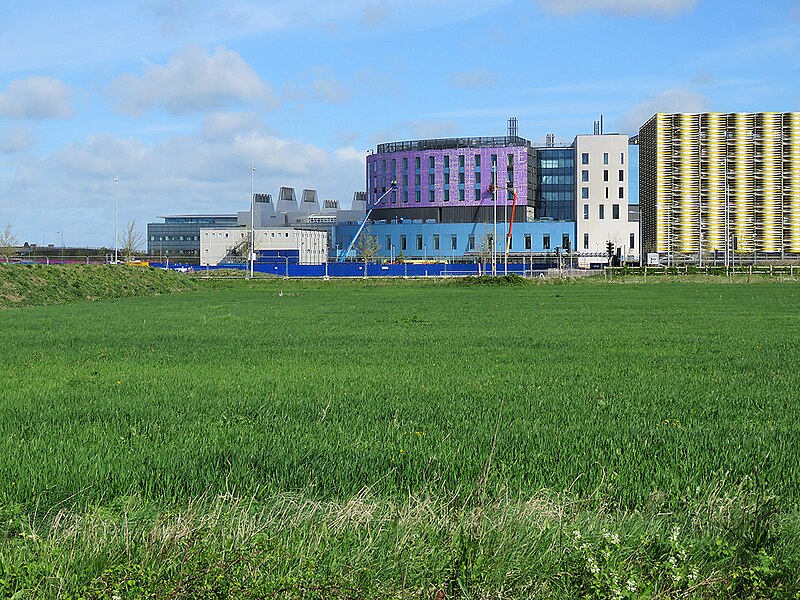 File:The Royal Papworth Hospital, cladding work - geograph.org.uk - 5753447.jpg