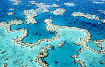 Great Barrier Reef, Cairns, Queensland, Australia The dazzling colours of the Great Barrier Reef near Airlie Beach, Whitsunday Islands, Queensland.jpg
