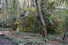 The Thornton Creek glacial erratic located southwest of 17th Ave NE and NE 104th St., in Seattle Parks' Kingfisher Natural Area