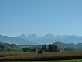 Aussicht von Toffen auf Berner Alpen