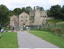 Rester av järnbruket Tondu Ironworks (1820–1895)