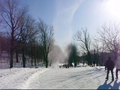 2009年2月、カナダのモントリオールで雪上に発生した塵旋風の写真。