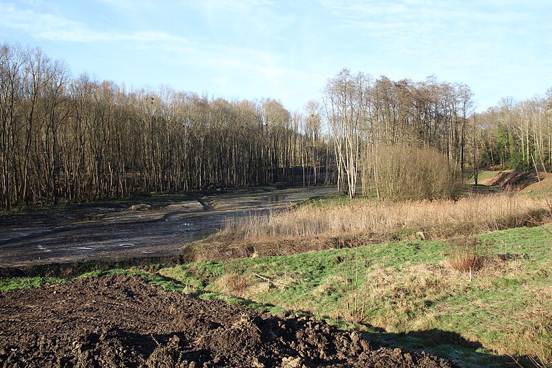 File:Travaux de restauration de la continuité écologique de la Mérantaise à Gif-sur-Yvette le 1er janvier 2015 - 05.jpg