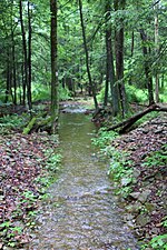 Thumbnail for Trout Run (East Branch Fishing Creek tributary)