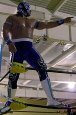 Thumbnail for CMLL Universal Championship (2009)