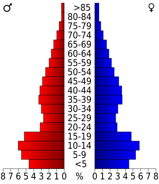 File:USA Apache County, Arizona age pyramid.svg