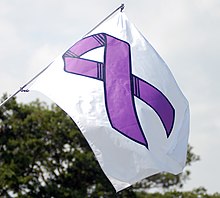 The purple ribbon promotes awareness of domestic violence. USMC-07144.jpg