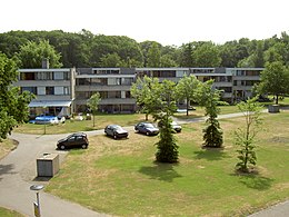 Campus: Nederland, België, Literatuur