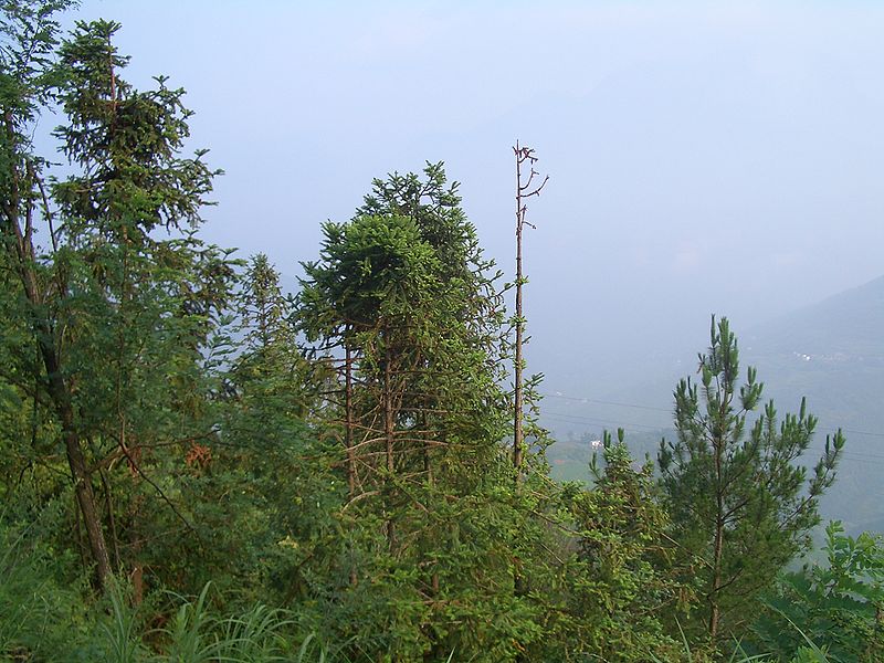 File:VM 5083 Xiqiuwan xiang Baishawan cun fields.jpg