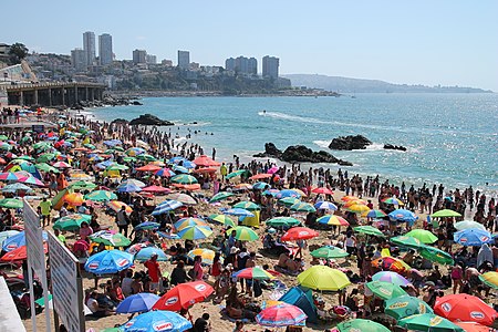 Dream vacation in Viña del Mar