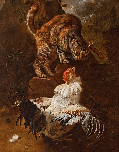 File:Victors Fight between a rooster and a cat.jpg