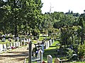 View from Graveyard, Brunswick Park Cemetery looking towards Christchurch. - geograph.org.uk - 46004.jpg
