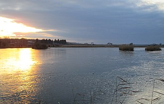 Сільський ставок взимку