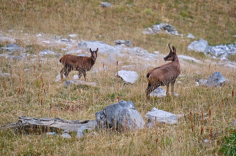 File:WLE - 2020 - Parque nacional de Ordesa y Monte Perdido - 03.jpg