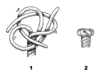 four strand crown knot